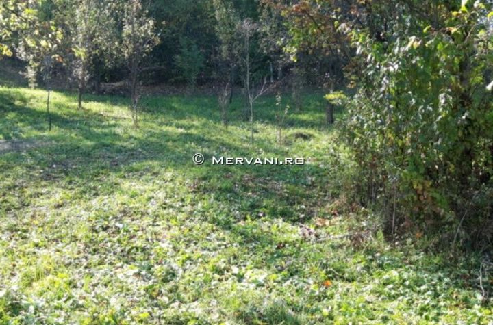 TEREN INTRAVILAN BREBU anunturi imobiliare Prahova