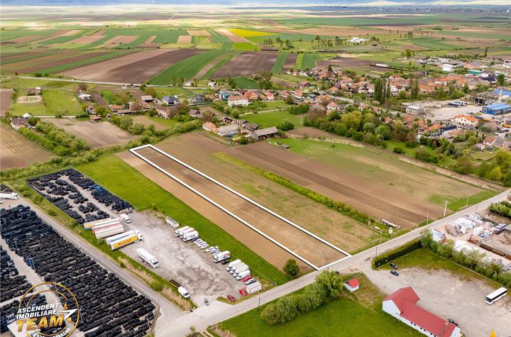 Teren Intravilan de vanzare NORD-EST - Covasna anunturi imobiliare Covasna