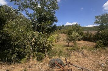 TEREN INTRAVILAN - 2500 MP - Valea Mare- Podgoria anunturi imobiliare Arges