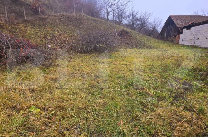 Teren de vanzare SEBES - Alba anunturi imobiliare Alba