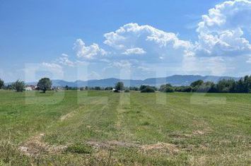 Teren de vanzare RADAUTI - Suceava anunturi imobiliare Suceava