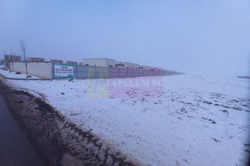 Teren Domnesti anunturi imobiliare Bucuresti