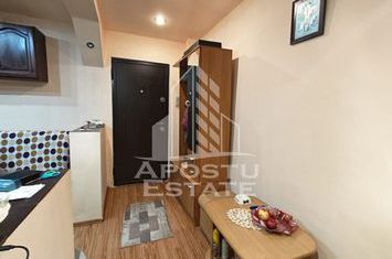Apartament cu 2 camere, centrala proprie, zona Lipovei anunturi imobiliare Timis