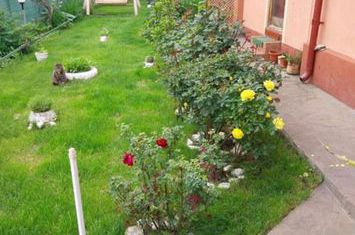 Vilă - 7 camere de vanzare PLOIESTI - Prahova anunturi imobiliare Prahova