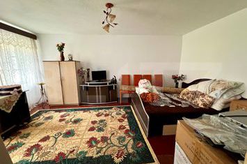 Casă - 3 camere de vanzare TEREZIAN - Sibiu anunturi imobiliare Sibiu