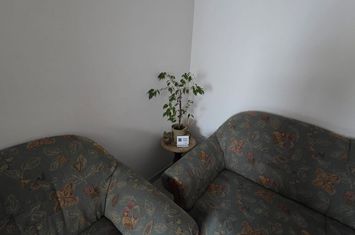 Apartament 3 camere de inchiriat BAIA MARE - Maramures anunturi imobiliare Maramures