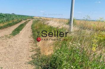 Teren Aroneanu langa zona de vile anunturi imobiliare Iasi