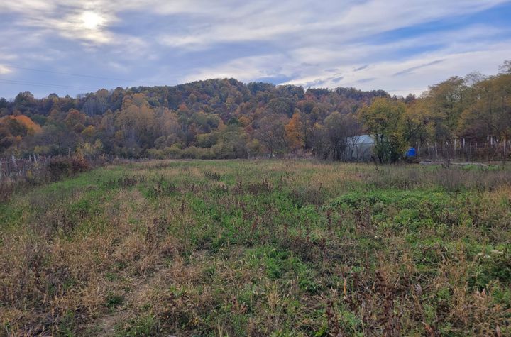 Teren de vanzare BALESTI - Gorj anunturi imobiliare Gorj