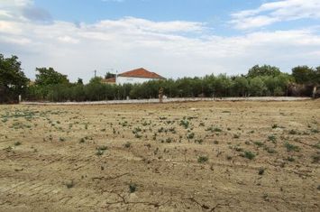 Teren 1093 mp în Choumniko anunturi imobiliare Grecia