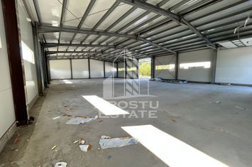 Hala noua de inchiriat 550 mp, birouri, parcare, Sacalaz. anunturi imobiliare Timis