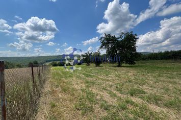 Teren de vânzare 2.531 mp Centrul satului Poieni, Priveliste spre padure anunturi imobiliare Iasi