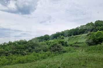 Teren de vanzare GILAU - Cluj anunturi imobiliare Cluj