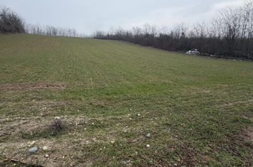 Teren de vanzare FILIASI - Dolj anunturi imobiliare Dolj