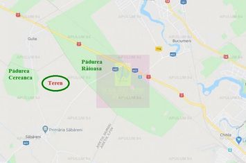 Săbăreni, teren intravilan construibill, la 300 m de pădure anunturi imobiliare Giurgiu