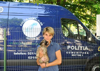 Vino în parcul Kiseleff şi adoptă un câine!