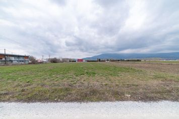 Teren construibil 11.325 mp în Polistilo, Kavala anunturi imobiliare Grecia