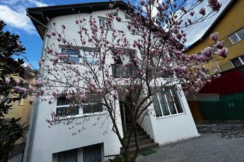 Vilă - 7 camere de vanzare CETATE - Alba anunturi imobiliare Alba