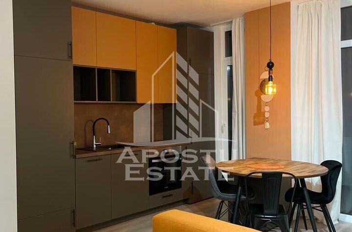 Apartament lux cu 2 camere si centrala proprie Take Ionescu (Vivalia) anunturi imobiliare Timis