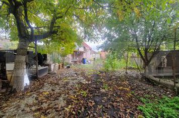 Casă - 4 camere de vanzare SANPETRU - Brasov anunturi imobiliare Brasov