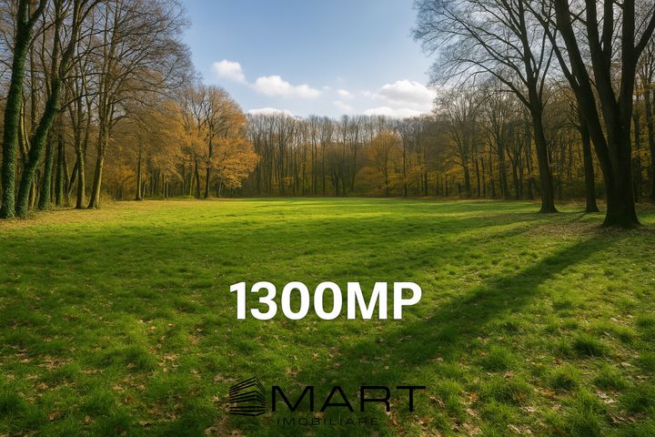 Teren de vanzare SUB ARINI - Sibiu anunturi imobiliare Sibiu