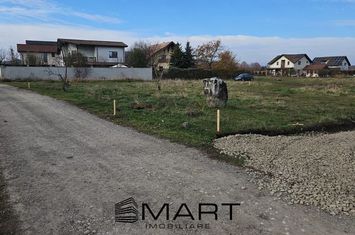Teren de vanzare HARMAN - Brasov anunturi imobiliare Brasov