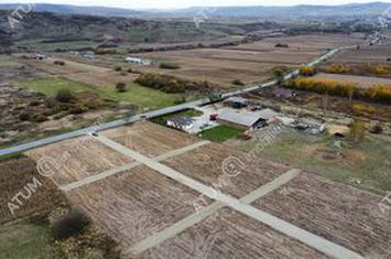 Teren Extravilan de vanzare DAIA - Sibiu anunturi imobiliare Sibiu