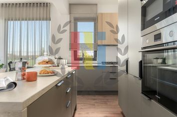 VILA 4 CAMERE BALOTESTI anunturi imobiliare Bucuresti