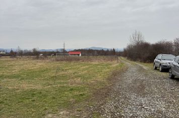 Teren de vanzare LAPUSEL - Maramures anunturi imobiliare Maramures