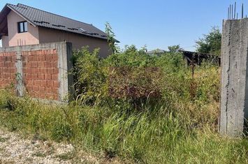 Teren Domnesti- strada Fortului. anunturi imobiliare Bucuresti