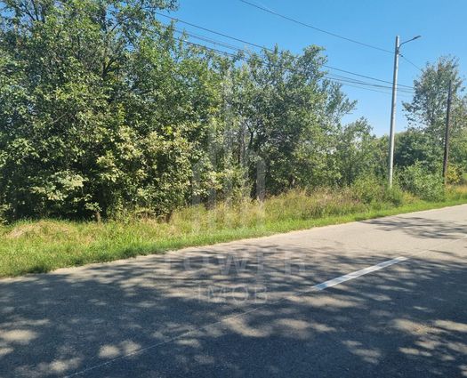 Teren Intravilan Sadu, 2600 mp