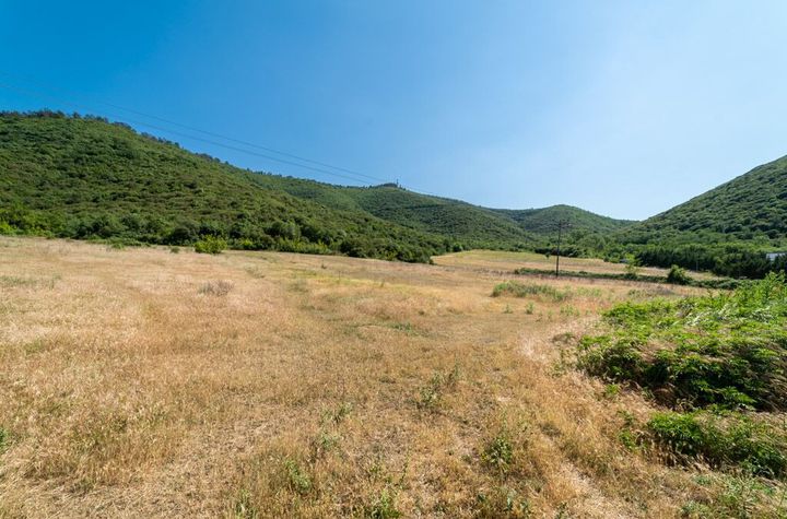 Teren construibil 18.801,47 mp în Amigdaleonas anunturi imobiliare Grecia
