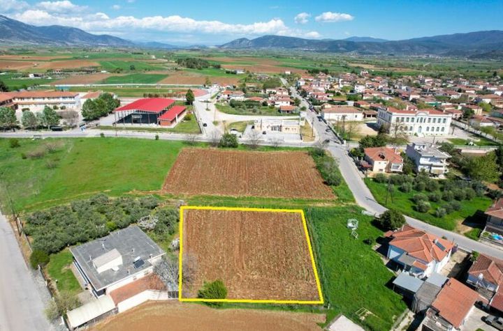 Teren construibil 1.051 mp la intrarea în Doxato Drama anunturi imobiliare Grecia