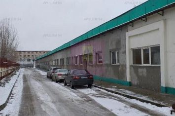 Hala productie 23 August. anunturi imobiliare Bucuresti