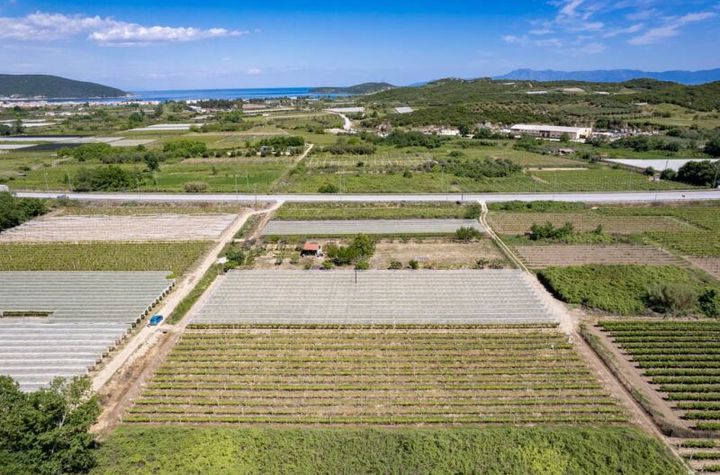 Teren agricol 2.700 mp, Nea Peramos anunturi imobiliare Grecia