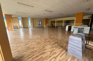 Spațiu comercial de inchiriat ROGERIUS - Bihor anunturi imobiliare Bihor