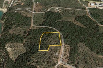 Teren agricol 5.031 mp în Astris, Thassos anunturi imobiliare Grecia