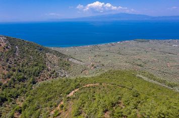 Teren construibil 70.000 mp în Kallirachi, Thassos anunturi imobiliare Grecia