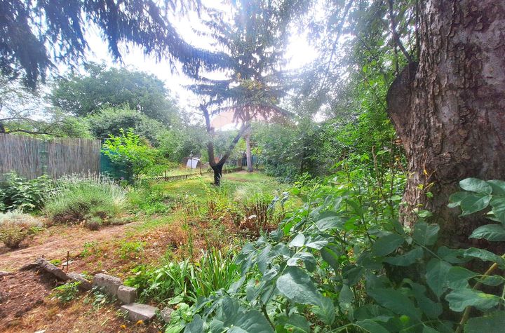 Casă cu grădină superbă – o oază verde în Sibiu anunturi imobiliare Sibiu