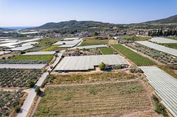 Teren 2188 mp în Elaiochori, vedere la mare anunturi imobiliare Grecia