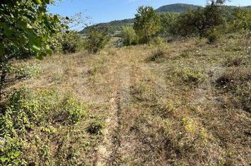 Teren de vanzare BISTRITA - Bistrita-Nasaud anunturi imobiliare Bistrita-Nasaud