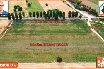 Teren 3928mp | Intravilan | Magurele - Darasti | Drum asfaltat | Curent si gaze anunturi imobiliare Bucuresti