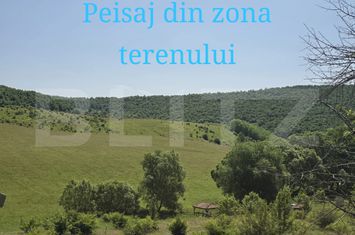 Teren de vanzare SALICEA - Cluj anunturi imobiliare Cluj