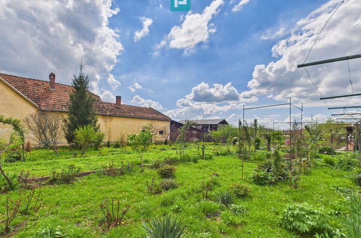 Teren 1300 mp, Beregsău Mare anunturi imobiliare Timis