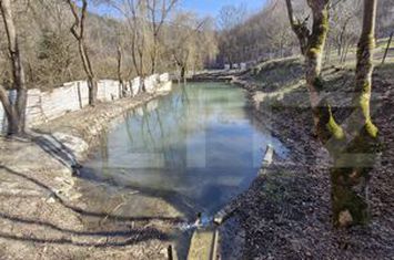 Vilă - 6 camere de vanzare VALEA INZELULUI - Alba anunturi imobiliare Alba