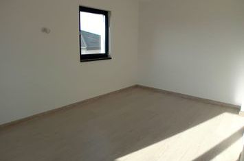 Casa cu 3 camere, Visan anunturi imobiliare Iasi