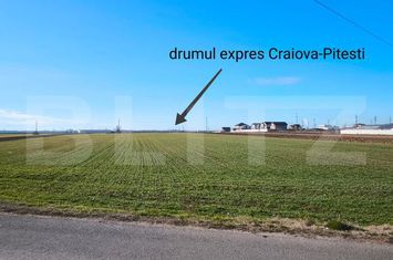 Teren de vanzare GHERCESTI - Dolj anunturi imobiliare Dolj