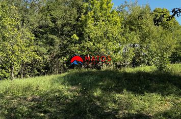 Teren Intravilan de vanzare PROVITA DE SUS - Prahova anunturi imobiliare Prahova