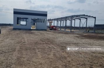 Spațiu industrial de inchiriat CIOROGARLA - Bucuresti anunturi imobiliare Bucuresti