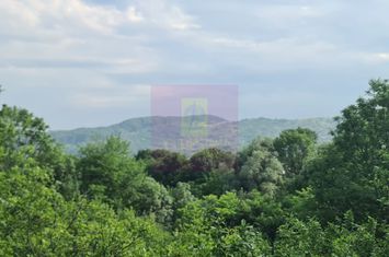Vila de vanzare cu 6 camere in Cornu (teren 6.600 mp) anunturi imobiliare Prahova