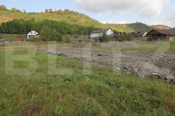 Teren de vanzare LIVEZENI - Mures anunturi imobiliare Mures